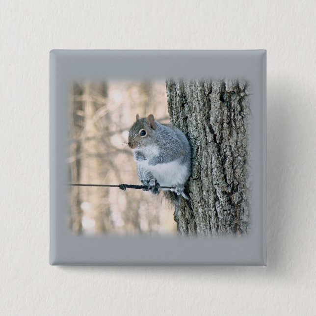 Grey Squirrel - Sciurus carolinensis 2 Inch Square Button (Front)