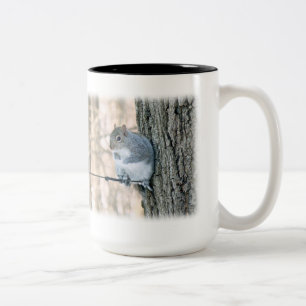 Grey Squirrel - Sciurus carolinensis Two-Tone Coffee Mug