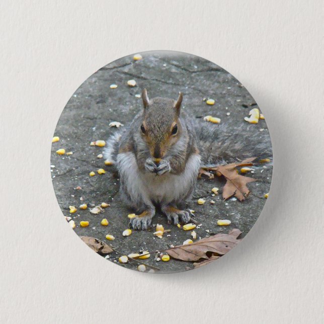 Grey Squirrel Series 2 Inch Round Button (Front)