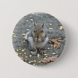 Grey Squirrel Series 2 Inch Round Button