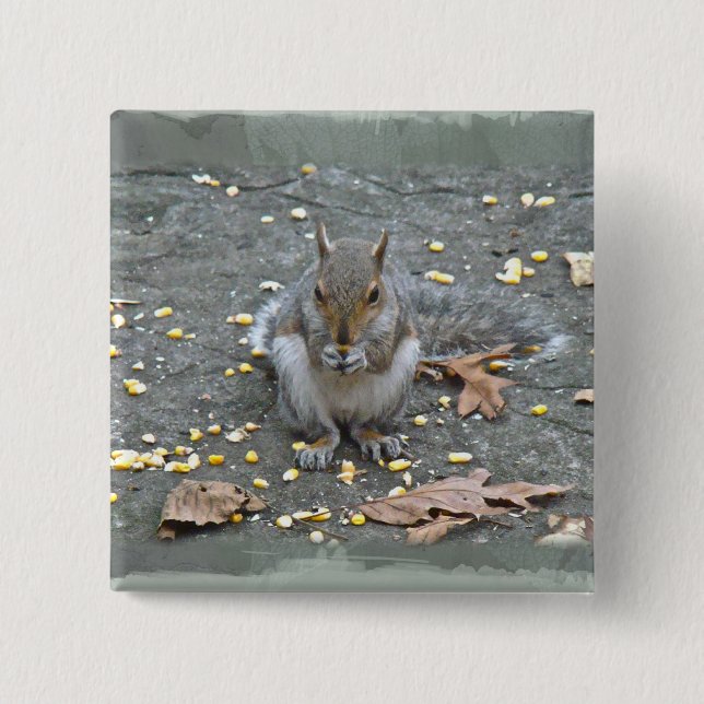 Grey Squirrel Series 2 Inch Square Button (Front)