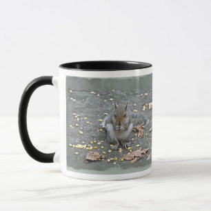Grey Squirrel Series Mug