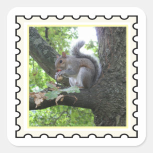 Grey Squirrel stamp art Square Sticker