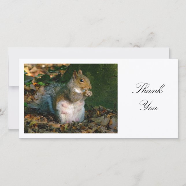 Grey Squirrel - Thank You (Front)