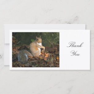 Grey Squirrel - Thank You Card