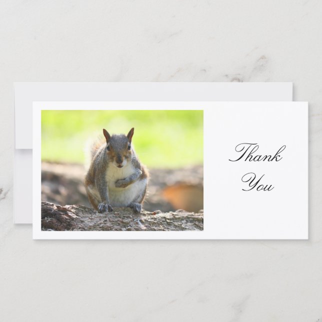 Grey Squirrel - Thank You Card (Front)
