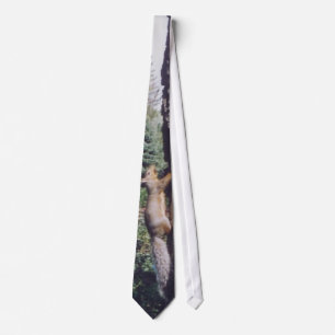 Grey Squirrel - tie