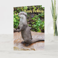 Grey Standing Otter Happy Birthday