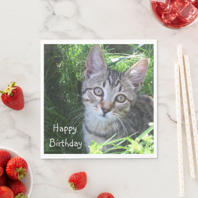 Grey Tabby Cat Birthday Napkin (Insitu)