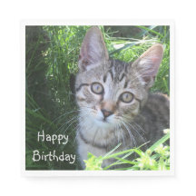 Grey Tabby Cat Birthday
