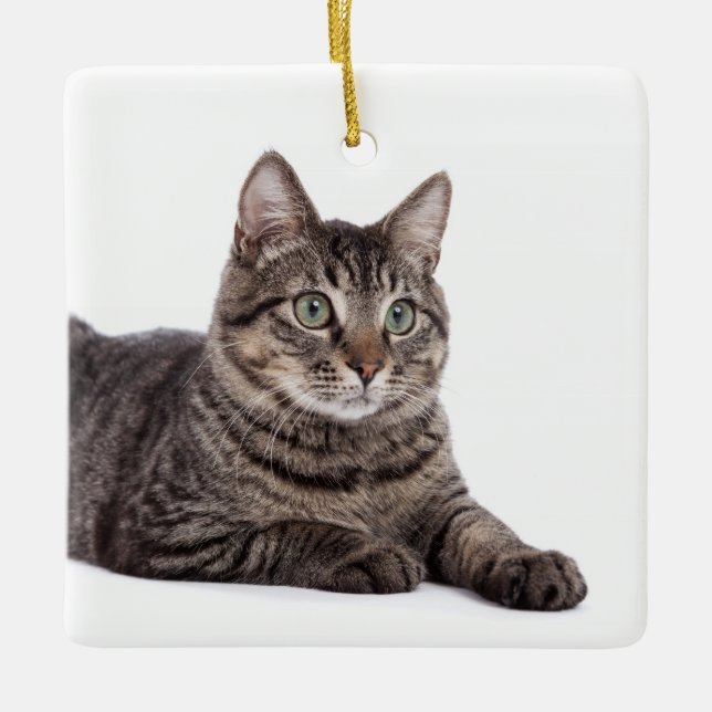 Grey Tabby Cat Ceramic Ornament (Front)