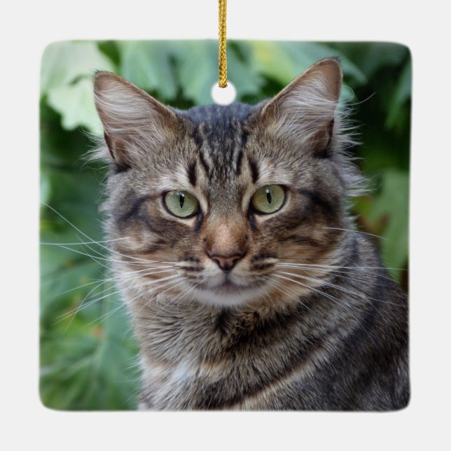 Grey Tabby Cat Ceramic Ornament (Back)
