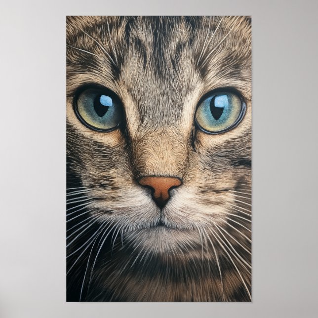 Grey tabby cat closeup poster (Front)