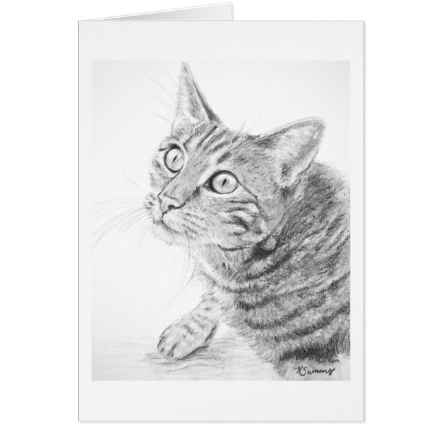 Grey Tabby Cat Drawing (Front)