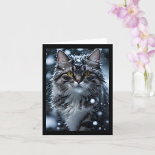 Grey Tabby Cat in Snow Blank Greeting  Card