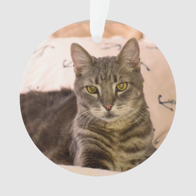 grey tabby cat ornament (Front)