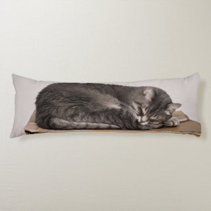 Grey Tabby Cat Sleeping On Box Body Pillow
