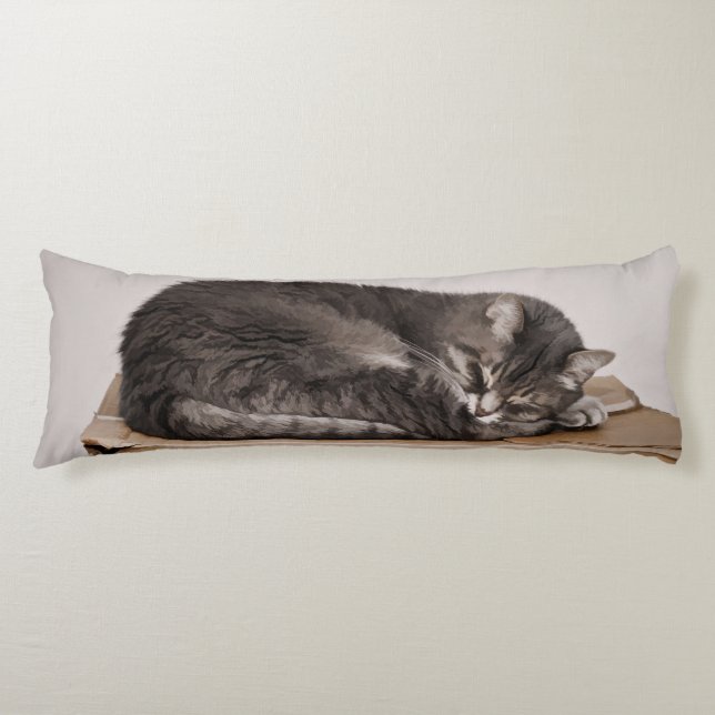 Grey Tabby Cat Sleeping On Box Body Pillow (Front)