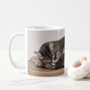 Grey Tabby Cat Sleeping On Box Coffee Mug