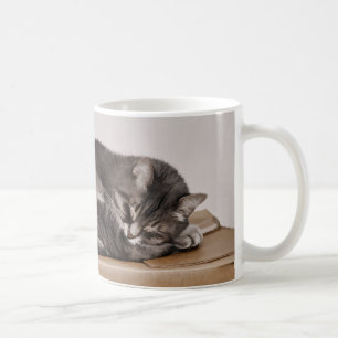 Grey Tabby Cat Sleeping On Box Coffee Mug
