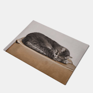 Grey Tabby Cat Sleeping On Box Doormat