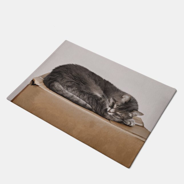 Grey Tabby Cat Sleeping On Box Doormat (Angled)
