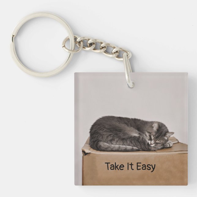 Grey Tabby Cat Sleeping On Box Keychain (Front)