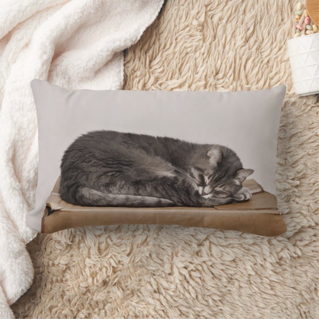 Grey Tabby Cat Sleeping On Box Lumbar Pillow (Blanket)