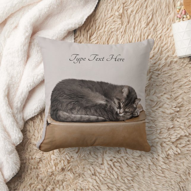 Grey Tabby Cat Sleeping On Box Throw Pillow (Blanket)