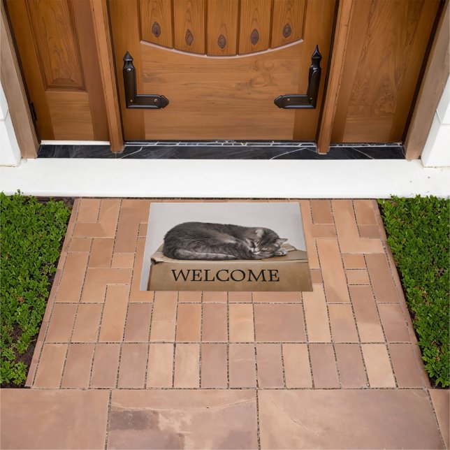 Grey Tabby Cat Sleeping On Box Welcome Doormat (Outdoor)