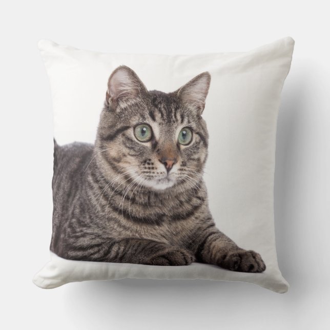 Grey Tabby Cat Throw Pillow (Front)