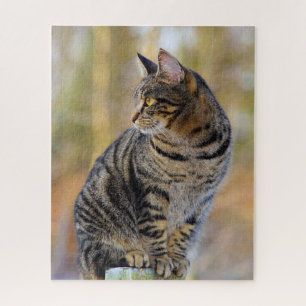 Grey Tabby Jigsaw Puzzle