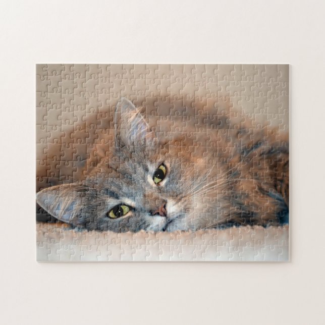 Grey, Tan, White Long-Haired Cat by Shirley Taylor Jigsaw Puzzle (Horizontal)