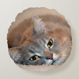 Grey, Tan, White Long-Haired Cat by Shirley Taylor Round Pillow