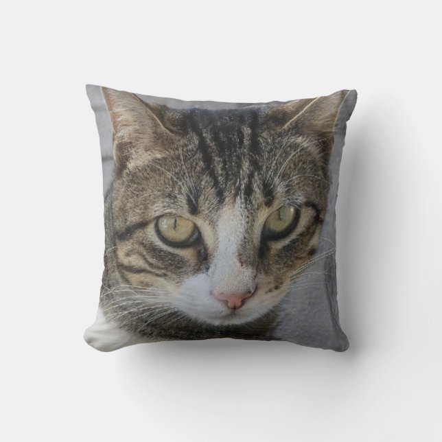 Grey Tiger Cat Picture,Lover of beautiful rare cat Throw Pillow (Front)