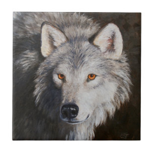 Grey Timber Wolf Face Portrait Tile