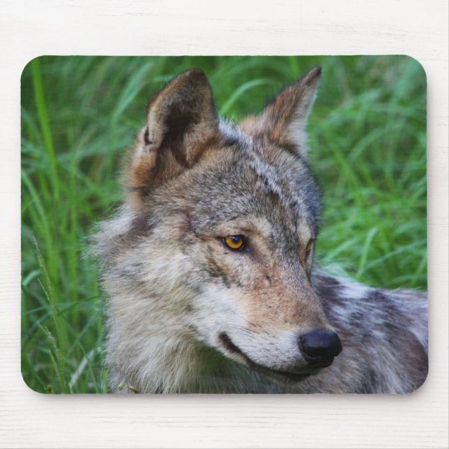 Grey Timber Wolf Mouse Pad (Front)