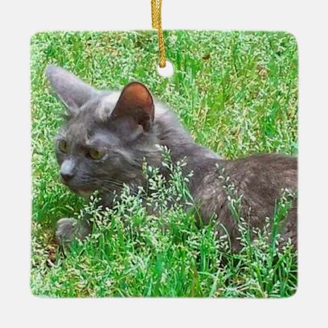 Grey Tortie Cat Ceramic Ornament (Front)