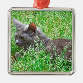 Grey Tortie Cat Metal Ornament
