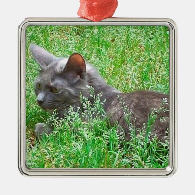 Grey Tortie Cat Metal Ornament (Front)