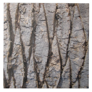 Grey tree bark texture tile
