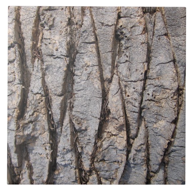 Grey tree bark texture tile (Front)