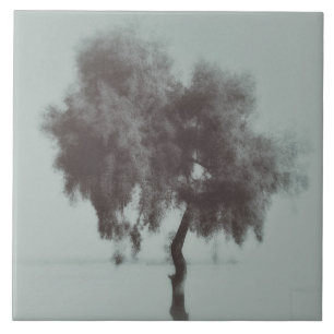 Grey Tree Sketch Tile