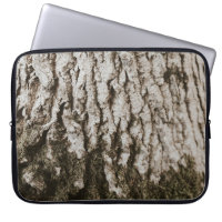 Grey tree trunk