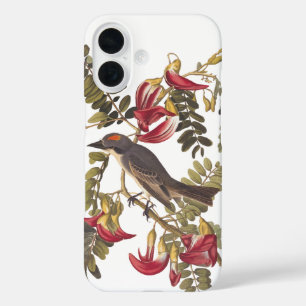 Grey Tyrant Audubon Bird on Hummingbird Tree iPhone 16 Case