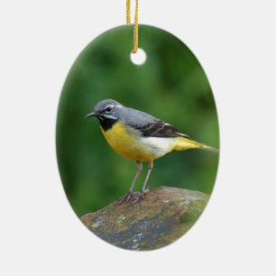 Grey Wagtail - bird Ceramic Ornament