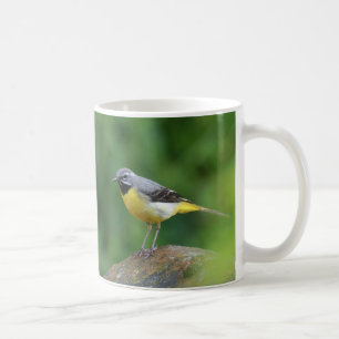 Grey Wagtail - bird Coffee Mug