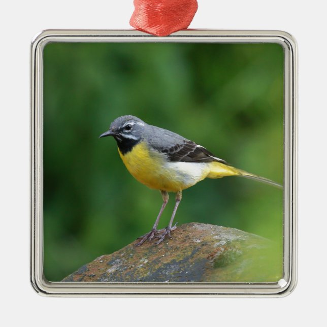 Grey Wagtail - bird Metal Ornament (Front)