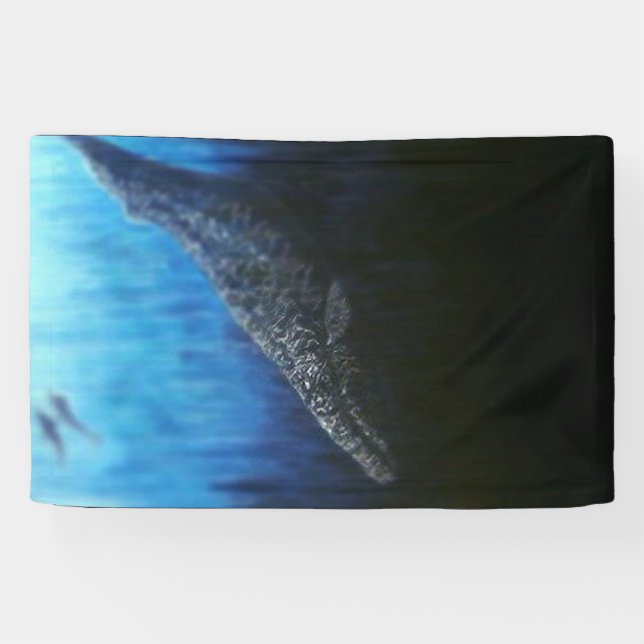 Grey wale  banner (Horizontal)