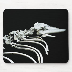 Grey Whale Fossil Mouse Pad